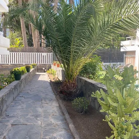 Maspalomas Oasis