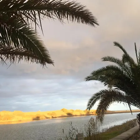 Oasis *