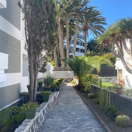 Hotel Maspalomas Oasis 2*