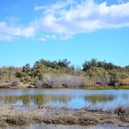 Maspalomas Oasis San Bartolomé