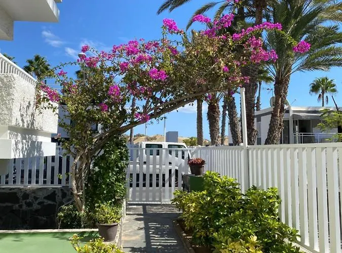Maspalomas Oasis