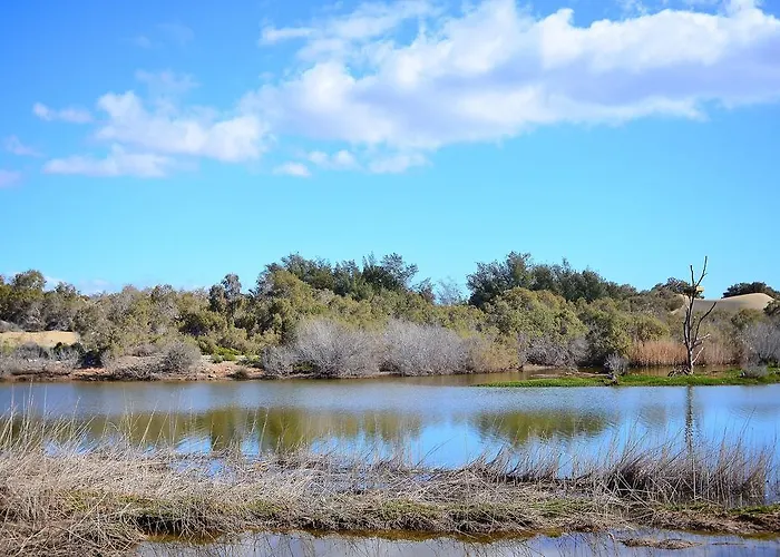 Maspalomas Oasis San Bartolomé