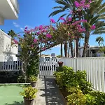 Maspalomas Oasis