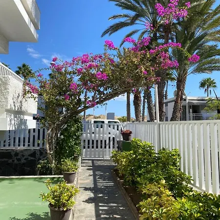 Maspalomas Oasis