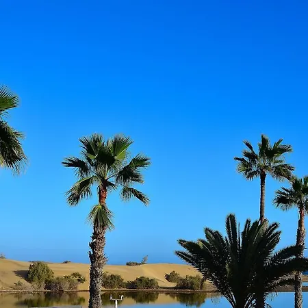 Maspalomas Oasis 2* San Bartolomé