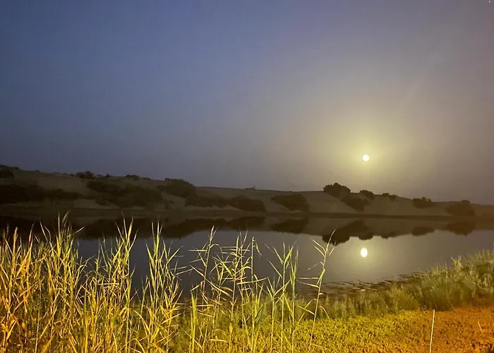 Maspalomas Oasis Hotel