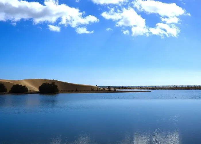 Maspalomas Oasis Hotel San Bartolomé